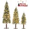 Set of 3 Pre-Lit Slim Snowy Christmas Trees with LED Lights Indoor Decor